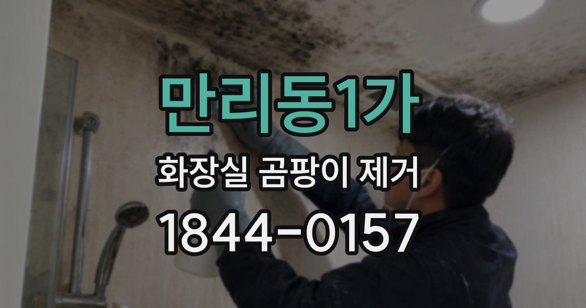 만리동1가 화장실 곰팡이 제거