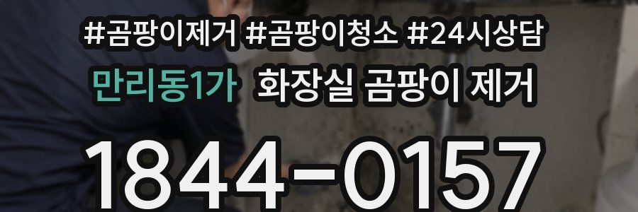 만리동1가 화장실 곰팡이 제거