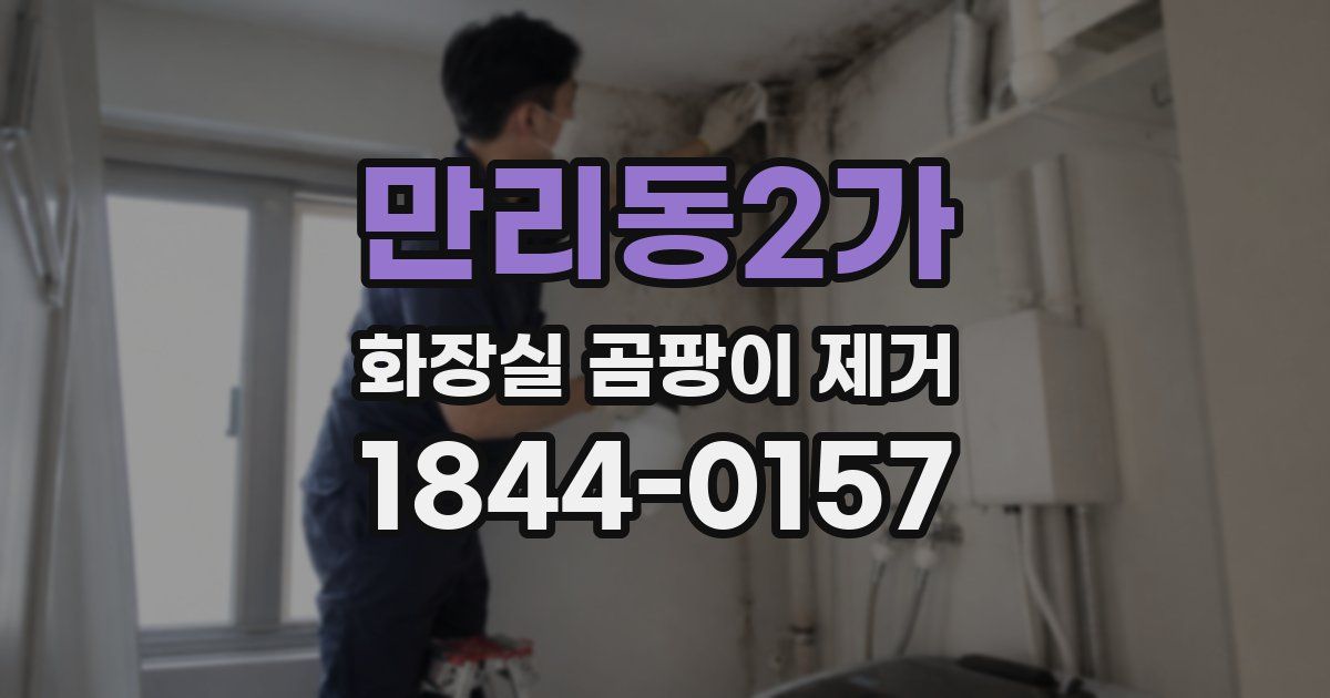 만리동2가 화장실 곰팡이 제거