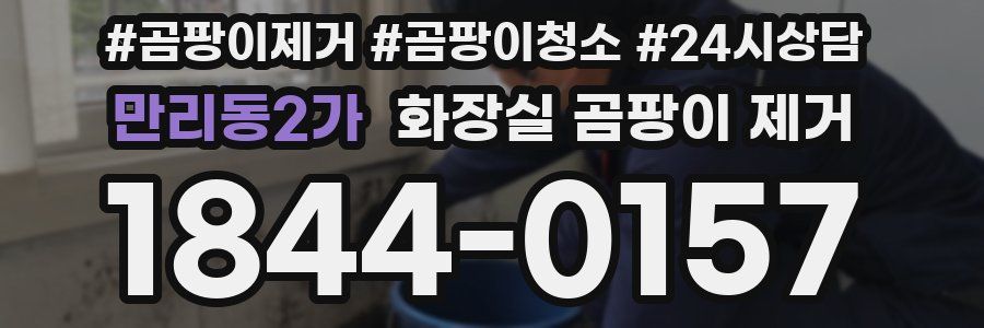 만리동2가 화장실 곰팡이 제거