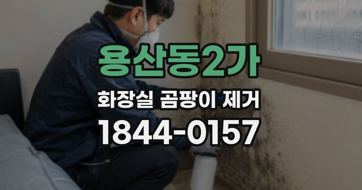 용산동2가 화장실 곰팡이 제거