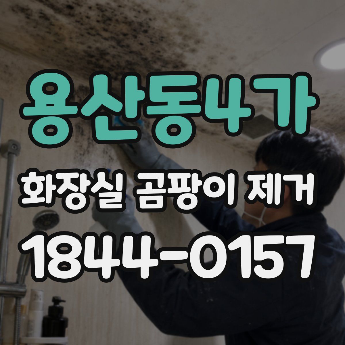용산동4가 화장실 곰팡이 제거