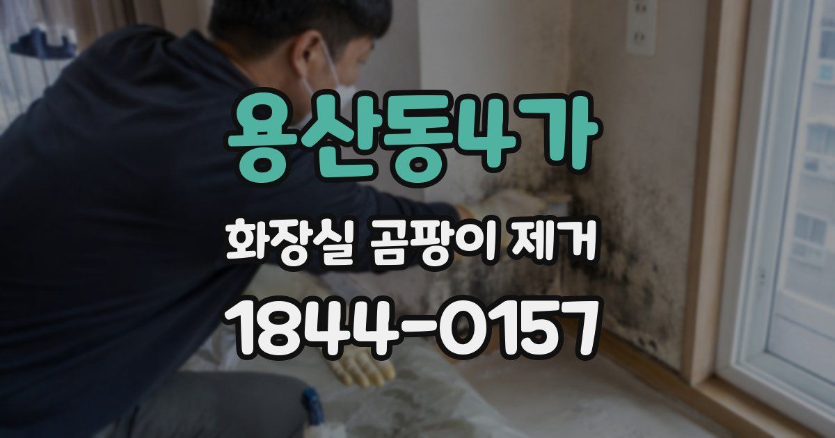 용산동4가 화장실 곰팡이 제거