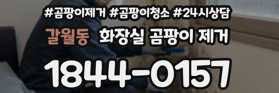 갈월동 화장실 곰팡이 제거