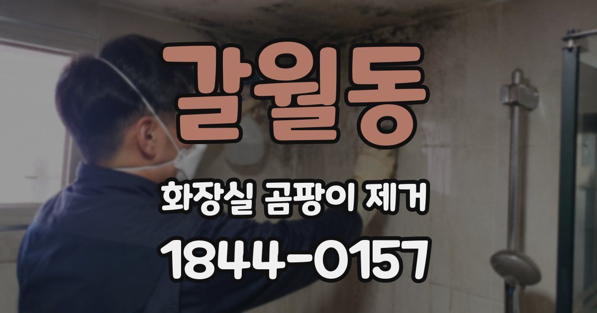 갈월동 화장실 곰팡이 제거