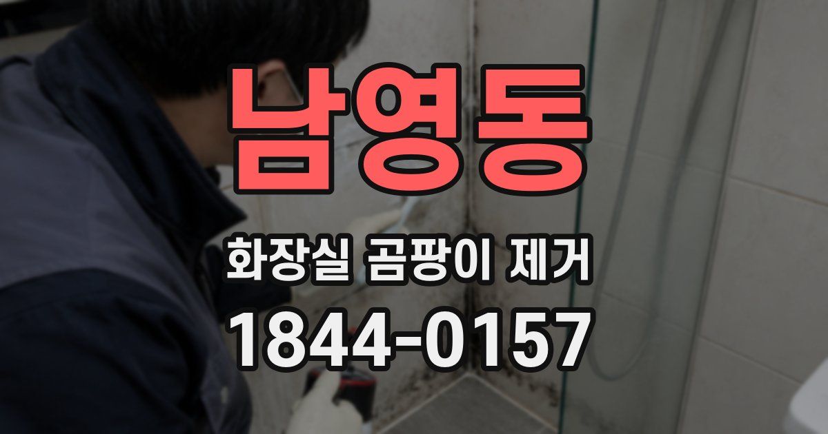 남영동 화장실 곰팡이 제거