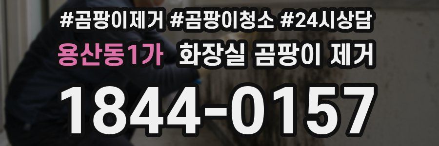 용산동1가 화장실 곰팡이 제거