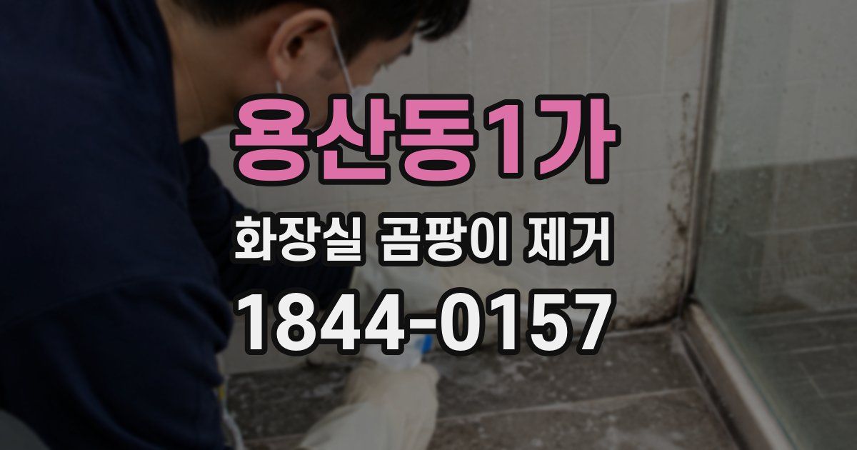용산동1가 화장실 곰팡이 제거