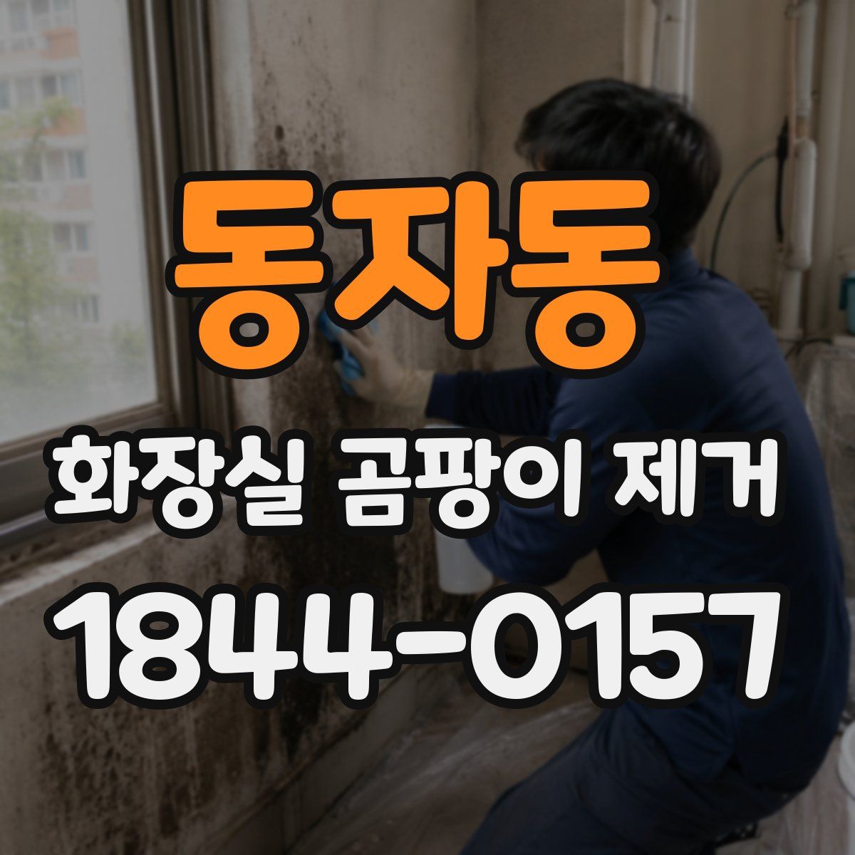 동자동 화장실 곰팡이 제거