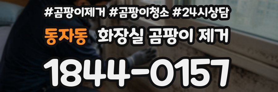 동자동 화장실 곰팡이 제거