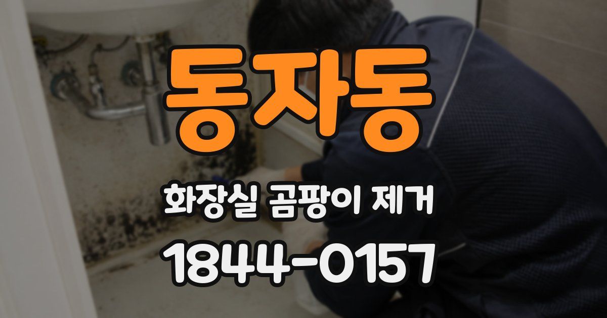 동자동 화장실 곰팡이 제거