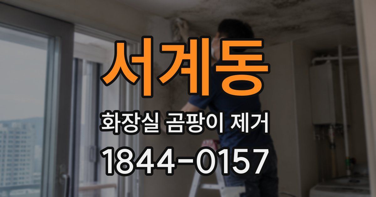 서계동 화장실 곰팡이 제거