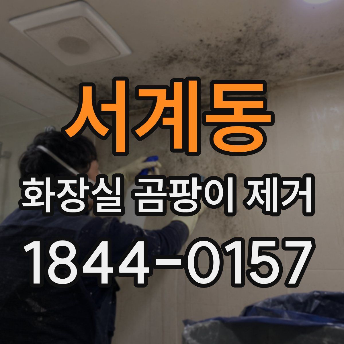 서계동 화장실 곰팡이 제거