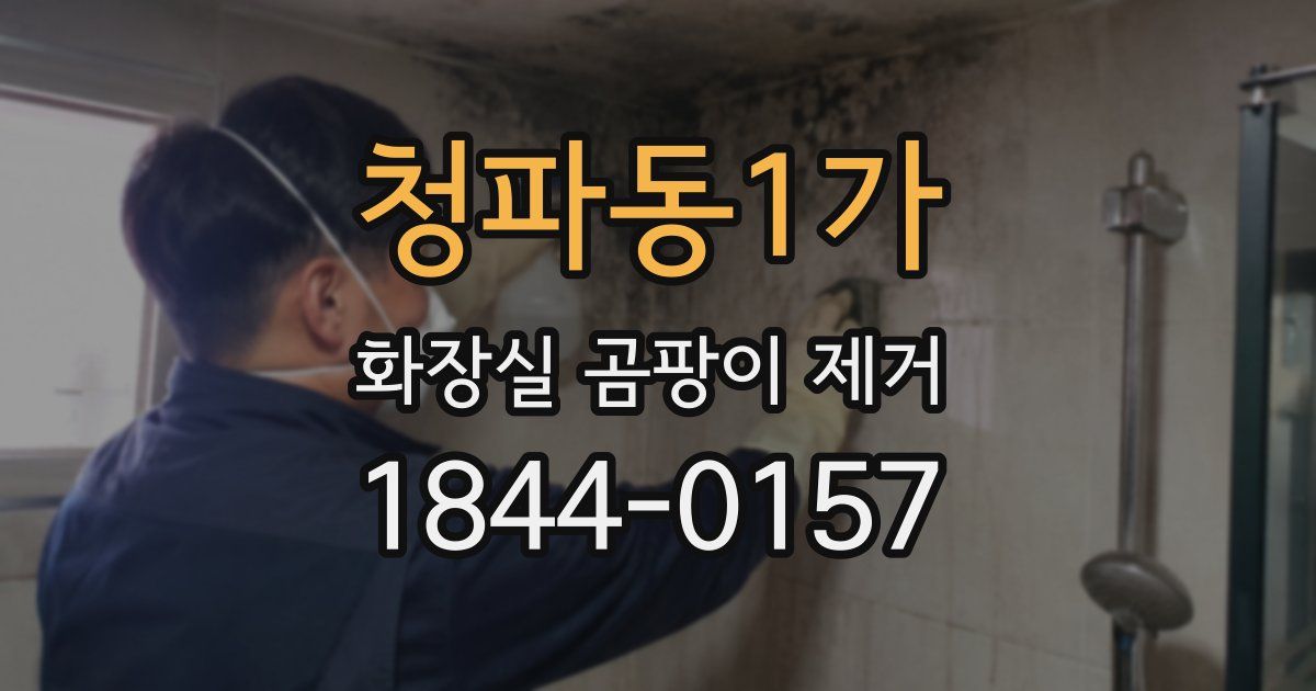 청파동1가 화장실 곰팡이 제거