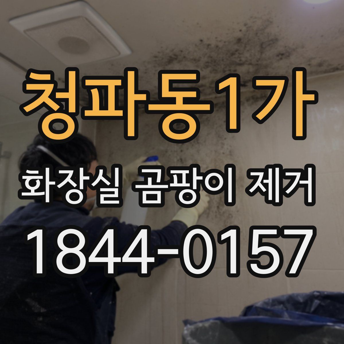 청파동1가 화장실 곰팡이 제거