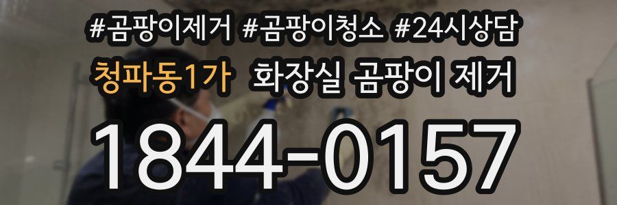청파동1가 화장실 곰팡이 제거