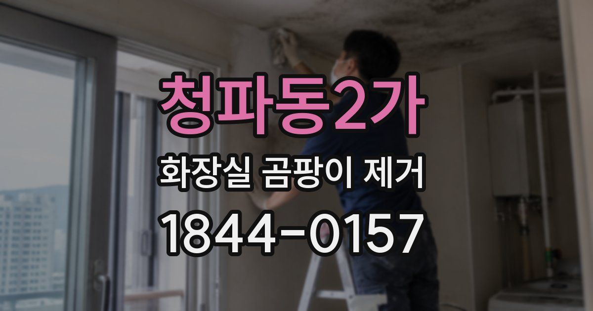 청파동2가 화장실 곰팡이 제거