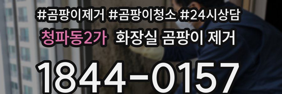 청파동2가 화장실 곰팡이 제거