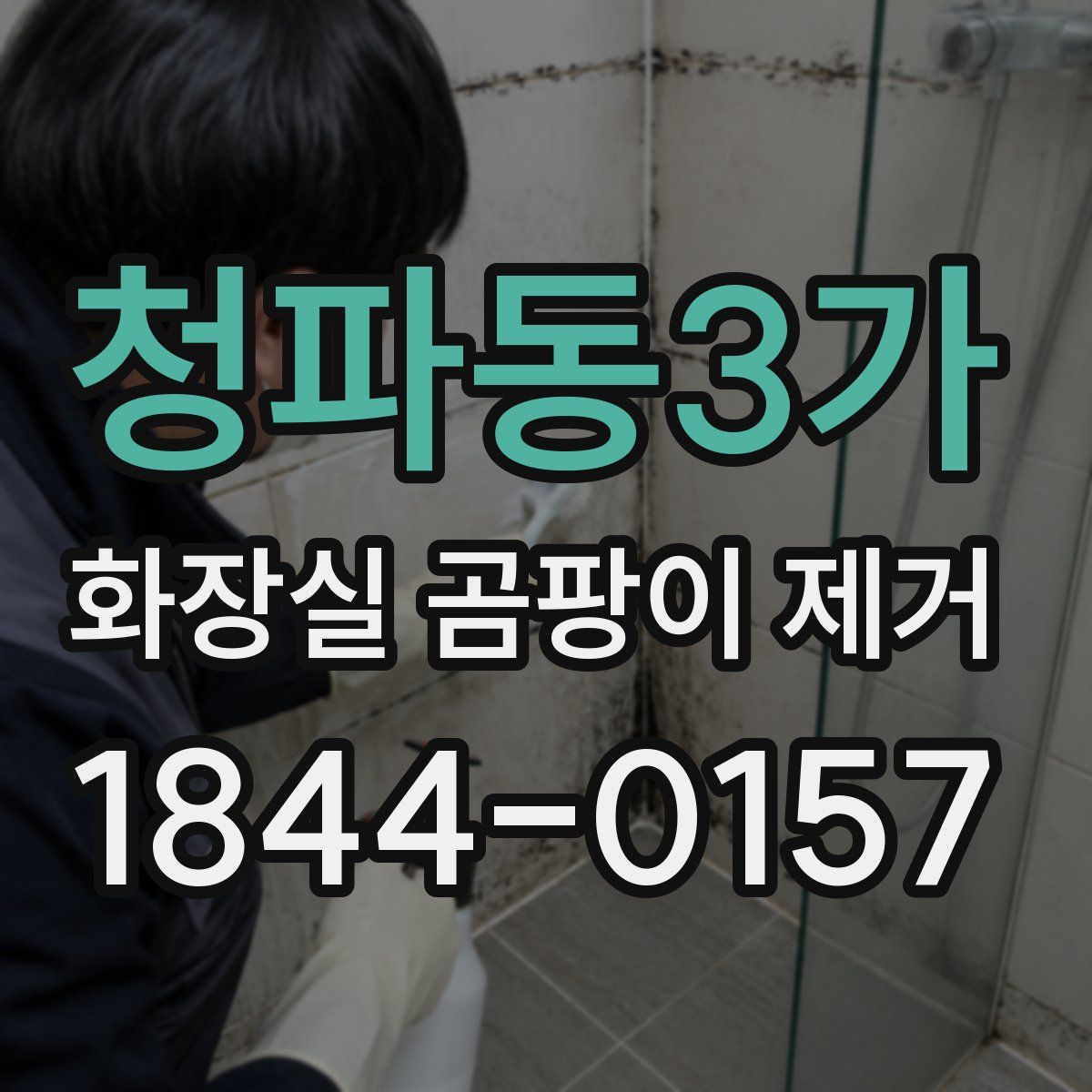 청파동3가 화장실 곰팡이 제거