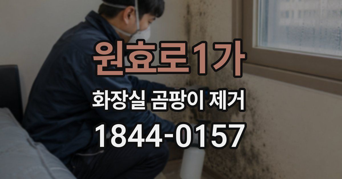 원효로1가 화장실 곰팡이 제거