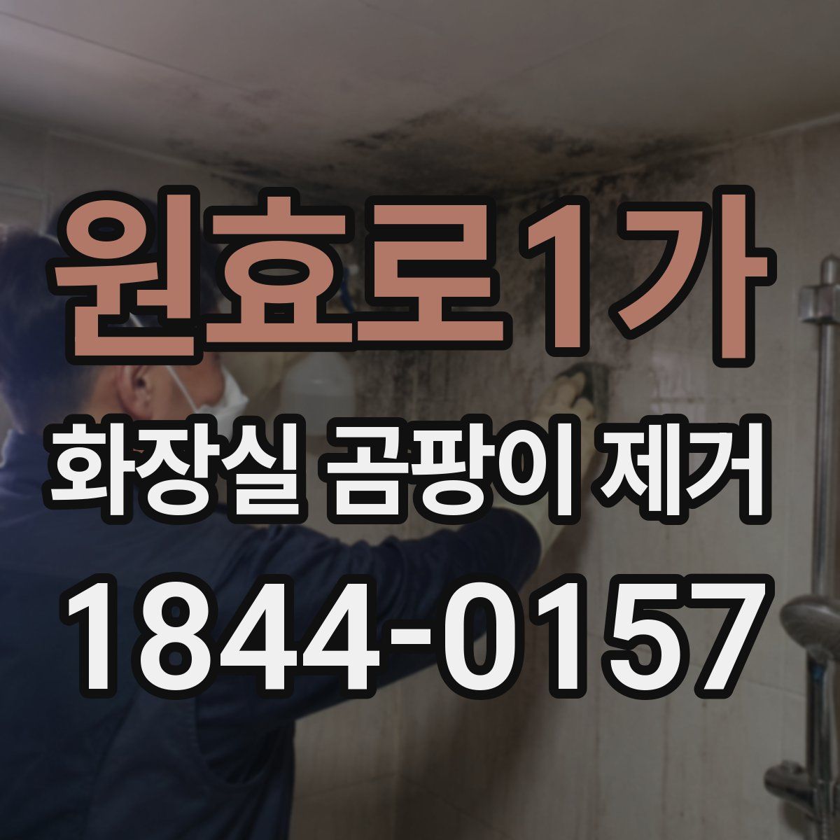 원효로1가 화장실 곰팡이 제거