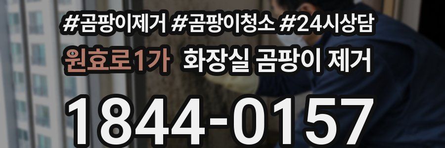 원효로1가 화장실 곰팡이 제거