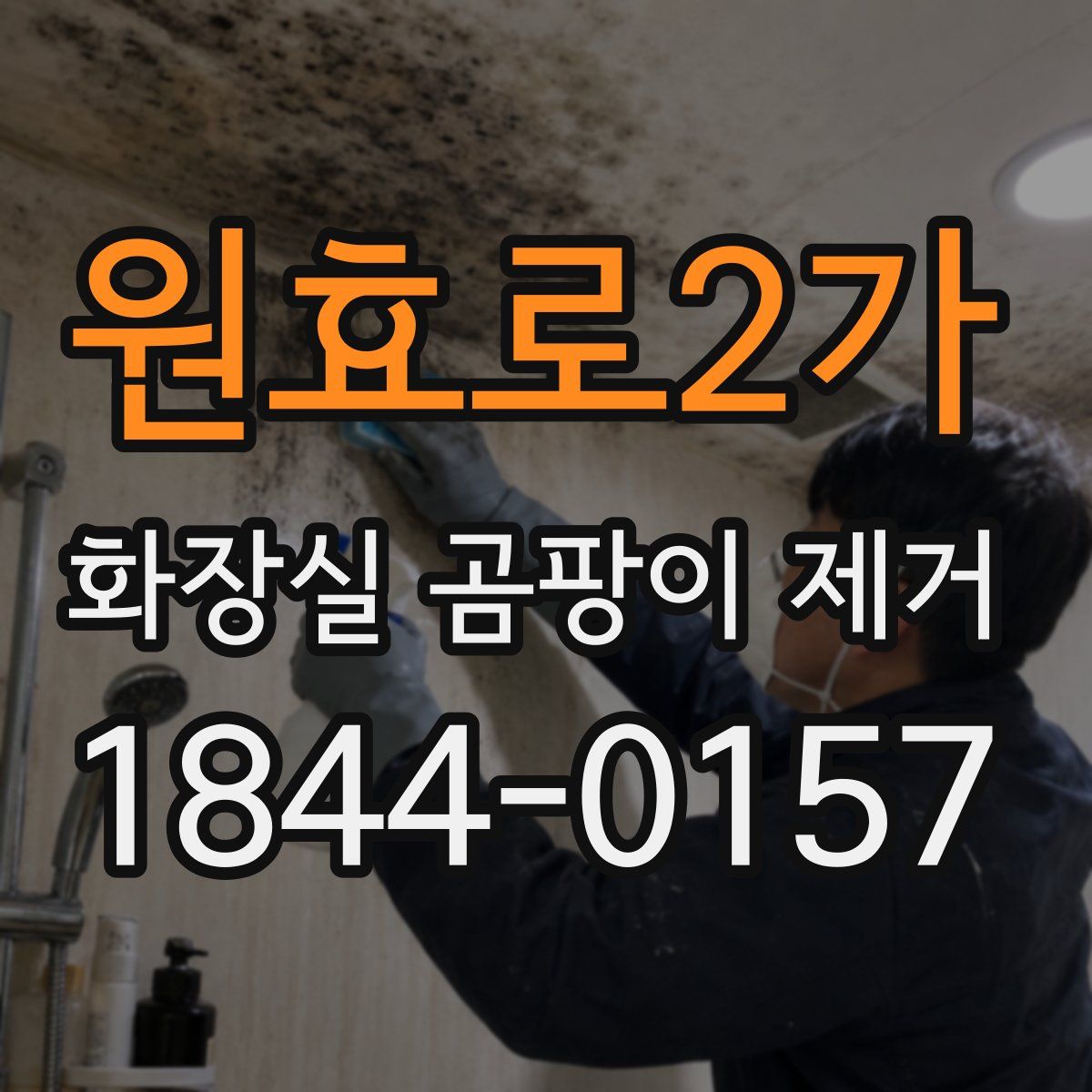 원효로2가 화장실 곰팡이 제거