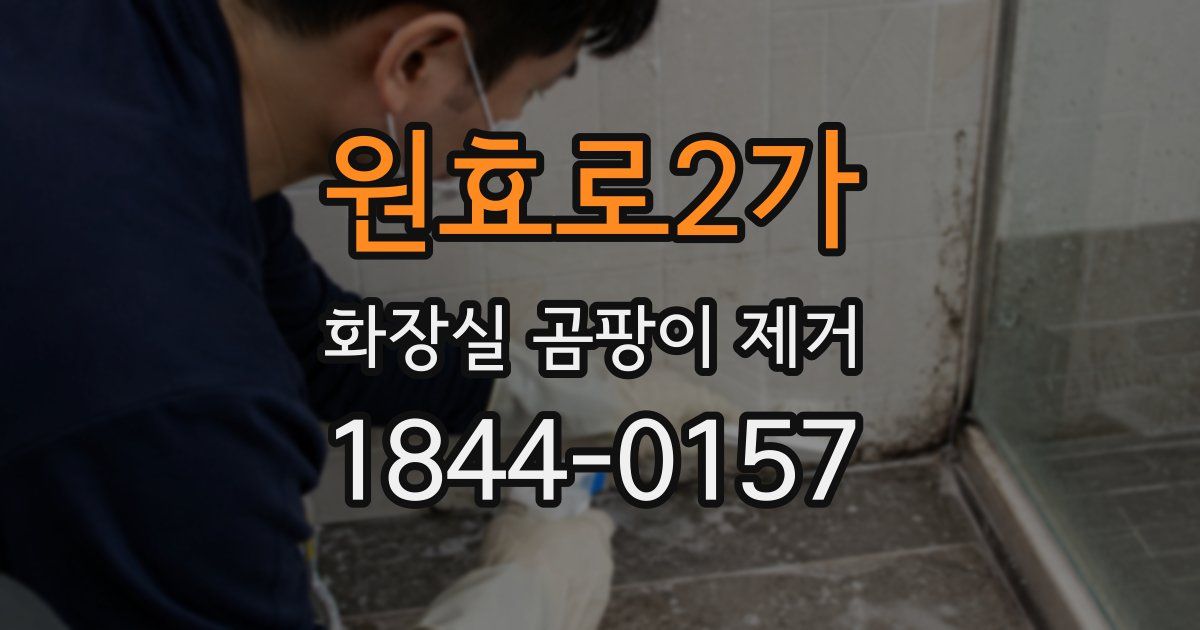 원효로2가 화장실 곰팡이 제거