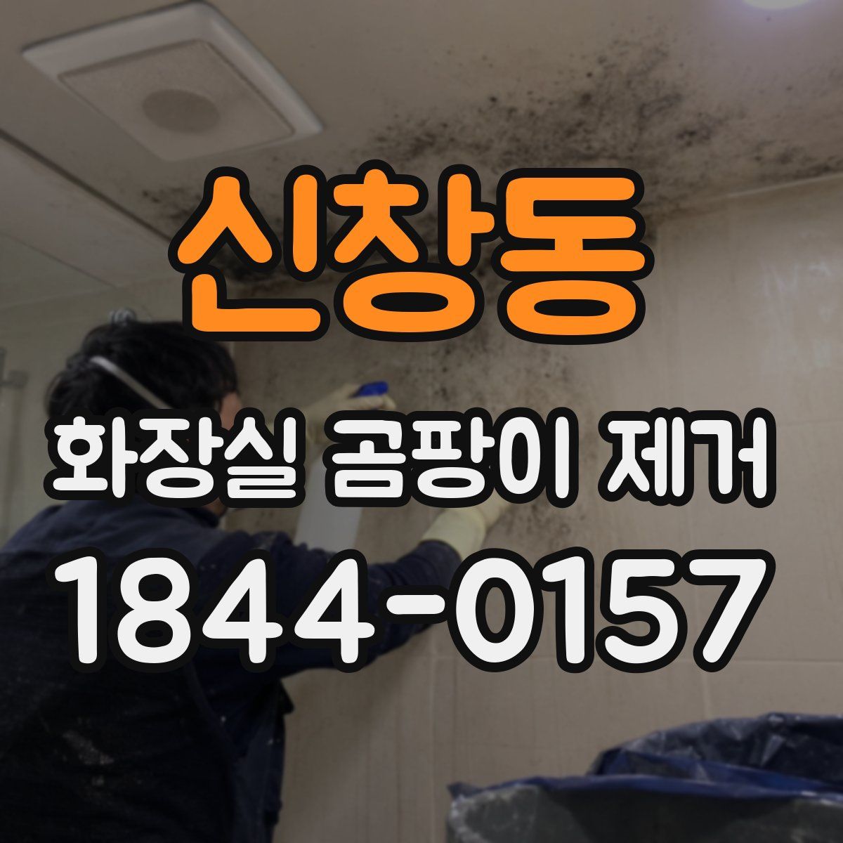 신창동 화장실 곰팡이 제거