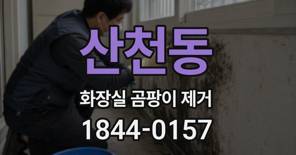 산천동 화장실 곰팡이 제거