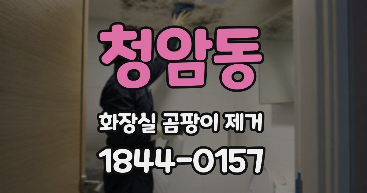청암동 화장실 곰팡이 제거