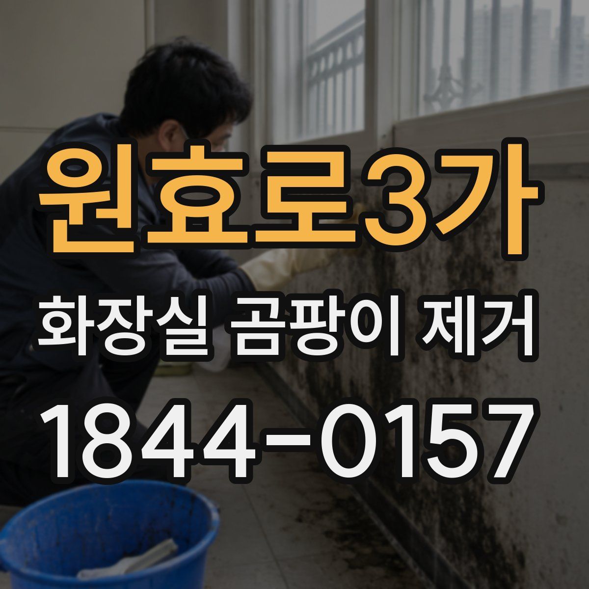 원효로3가 화장실 곰팡이 제거
