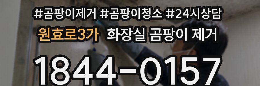 원효로3가 화장실 곰팡이 제거