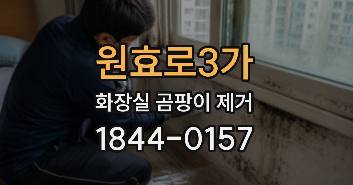 원효로3가 화장실 곰팡이 제거