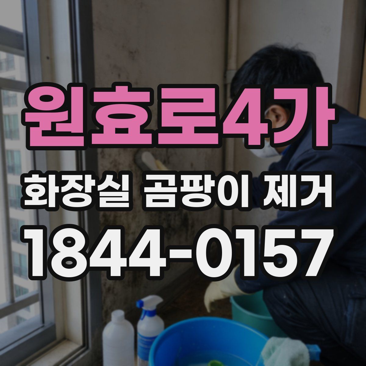원효로4가 화장실 곰팡이 제거