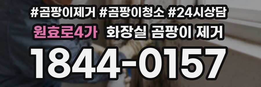 원효로4가 화장실 곰팡이 제거