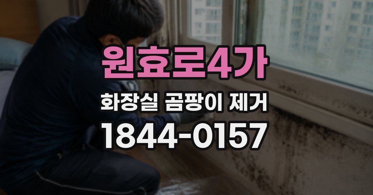 원효로4가 화장실 곰팡이 제거