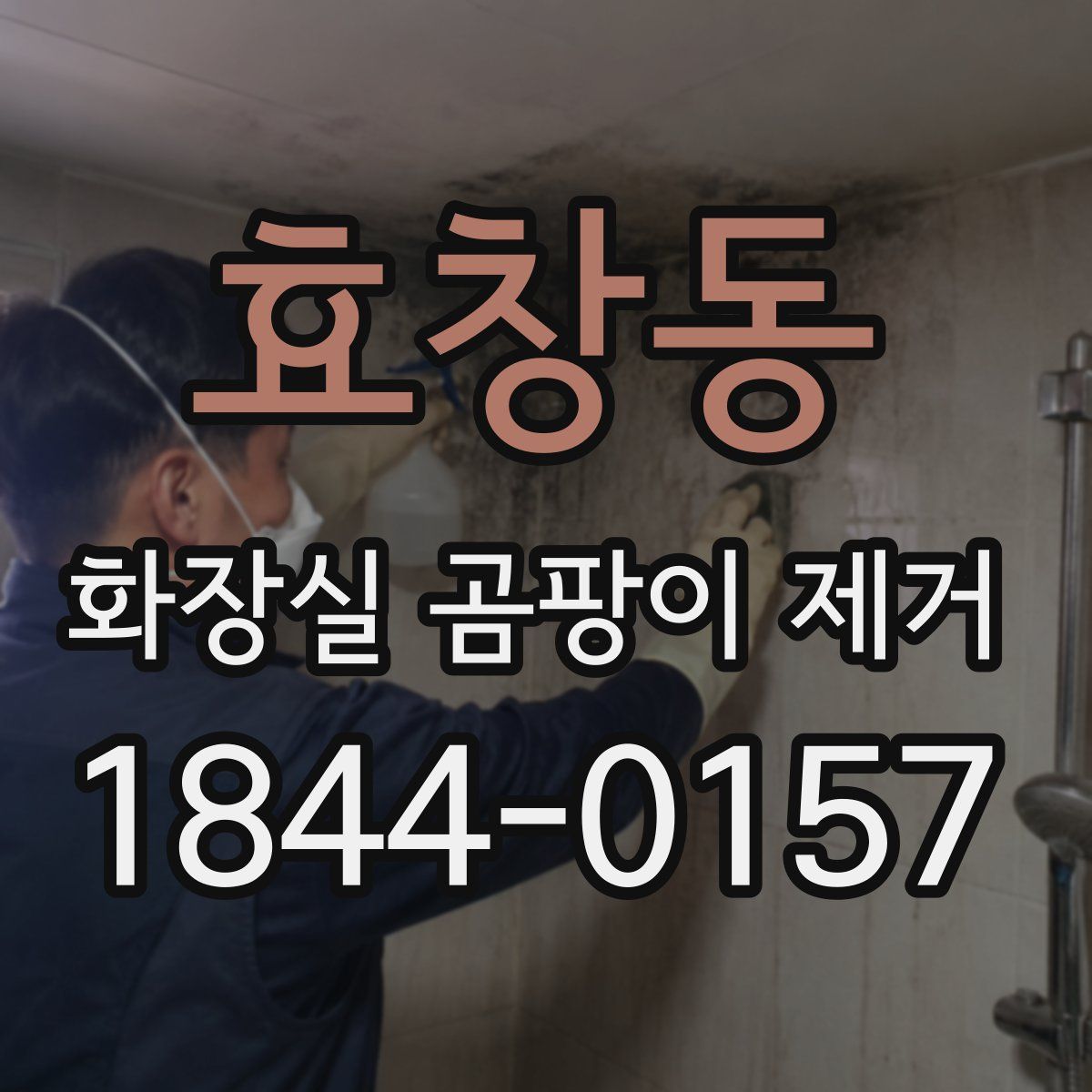효창동 화장실 곰팡이 제거