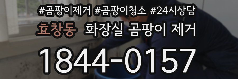 효창동 화장실 곰팡이 제거