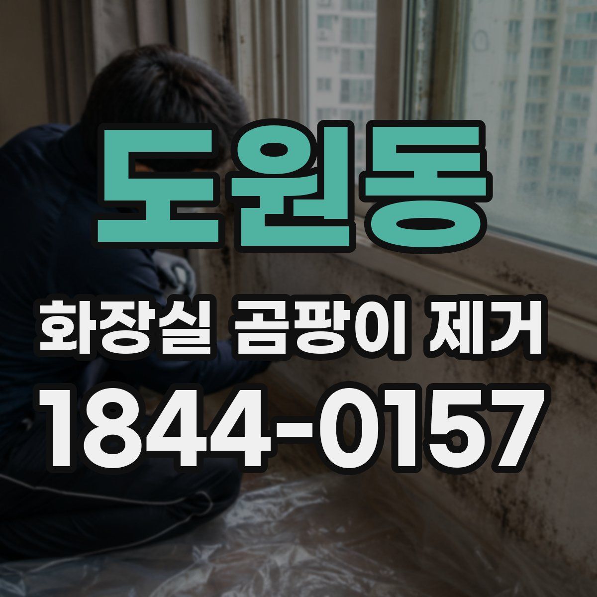 도원동 화장실 곰팡이 제거