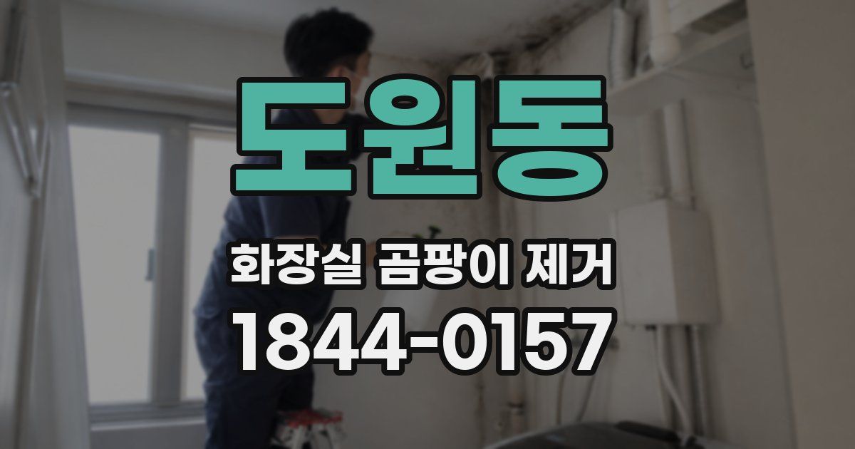 도원동 화장실 곰팡이 제거