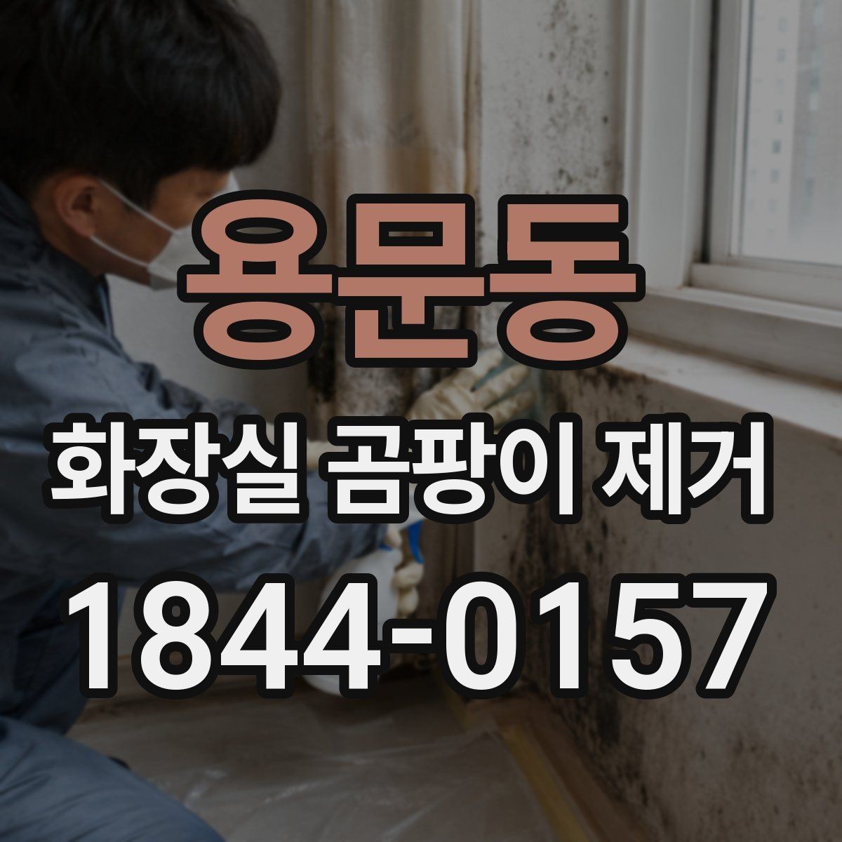 용문동 화장실 곰팡이 제거 시 아이와 반려동물 안전을 지키는 방법