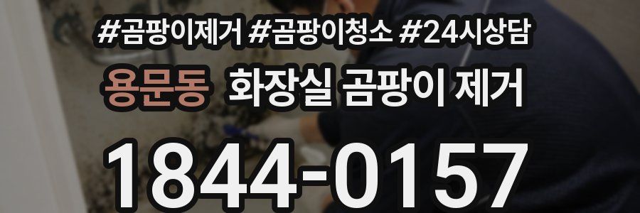 용문동 화장실 곰팡이 제거