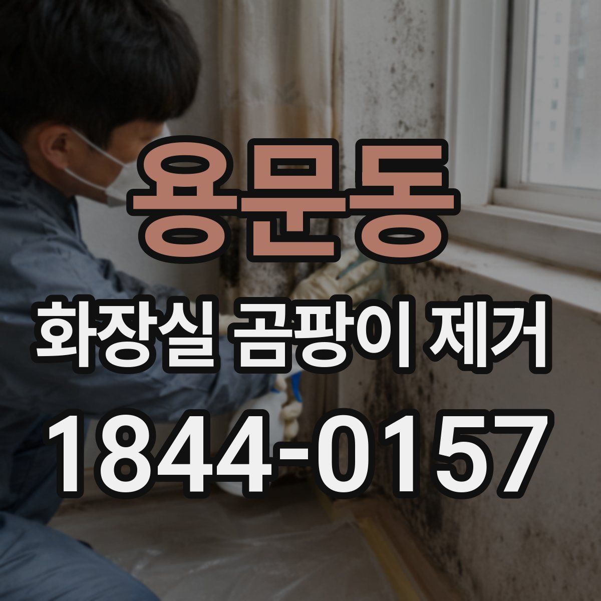 용문동 화장실 곰팡이 제거