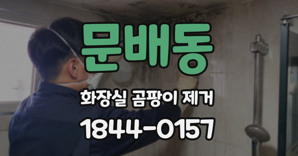 문배동 화장실 곰팡이 제거
