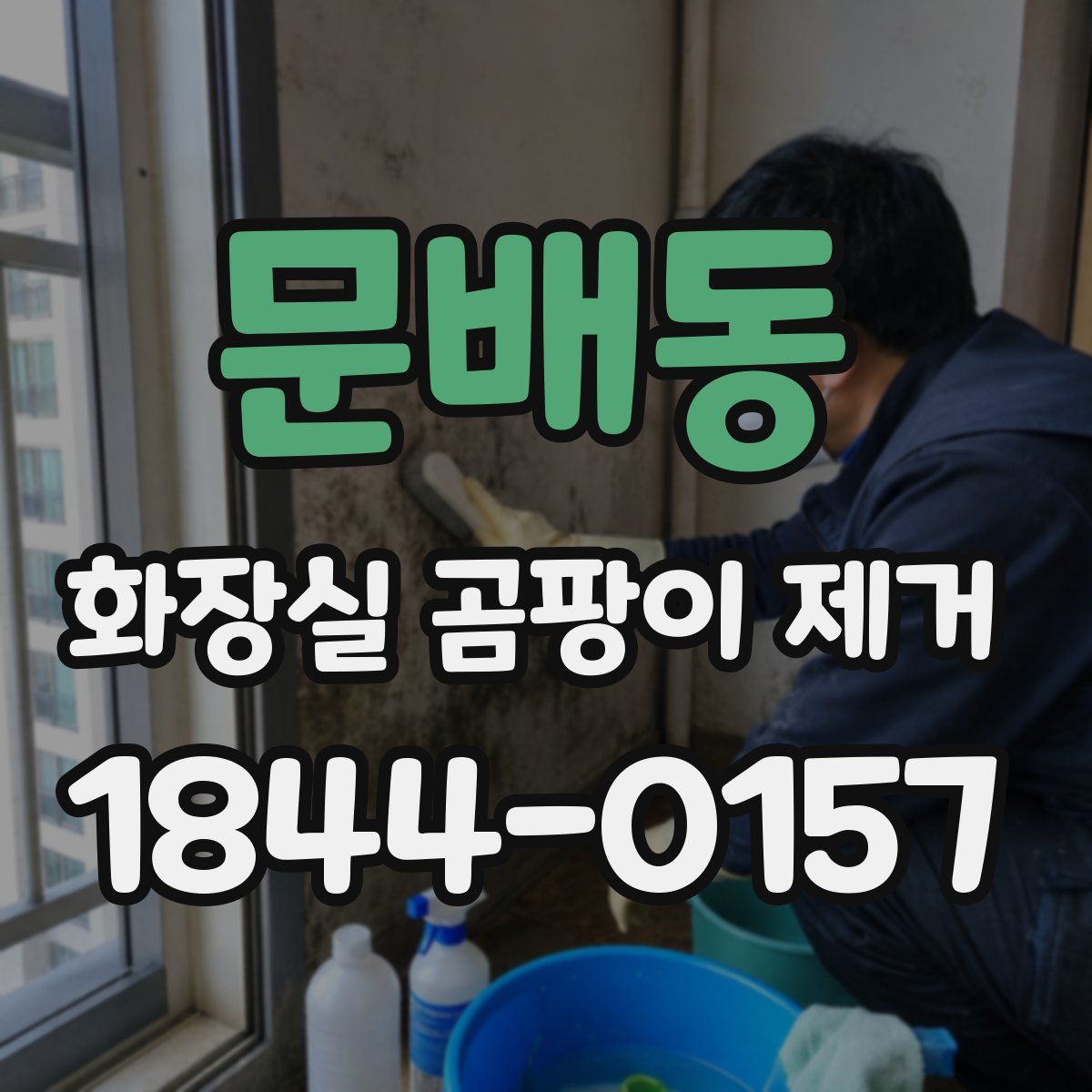 문배동 화장실 곰팡이 제거