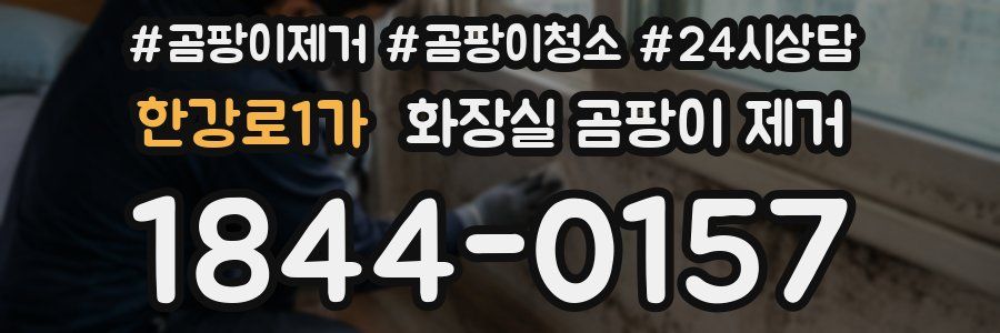 한강로1가 화장실 곰팡이 제거