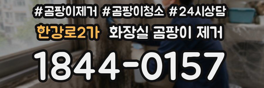 한강로2가 화장실 곰팡이 제거