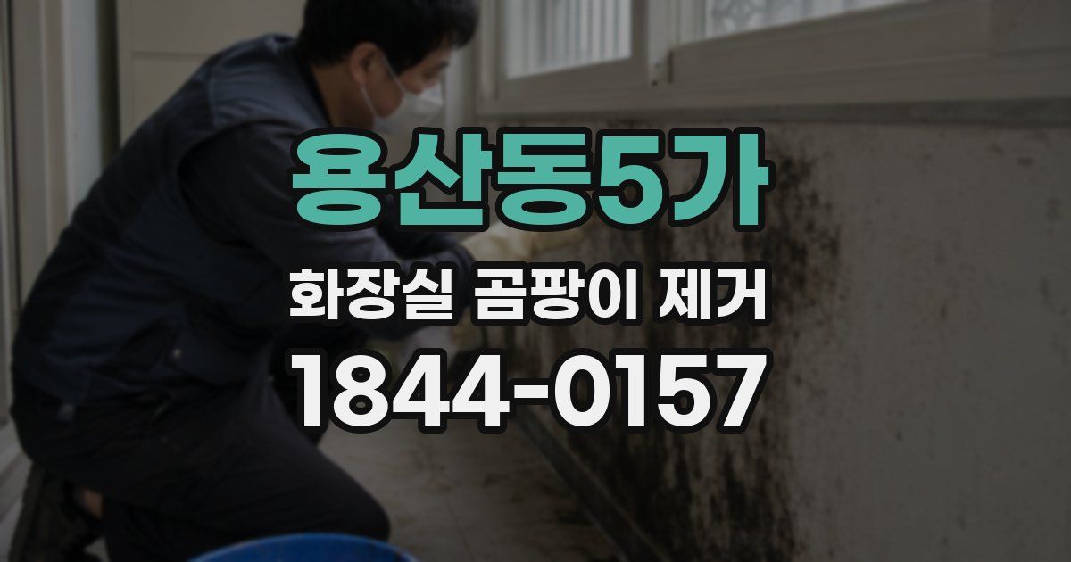 용산동5가 화장실 곰팡이 제거