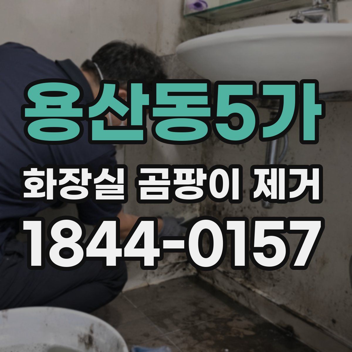 용산동5가 화장실 곰팡이 제거